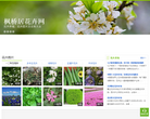 枫桥居花卉网 官网地址 hua.fengqiaoju.com 餐饮美食类网站排行榜