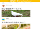 青岛寻梦网络科技 官网地址 www.dongniaodi.com 餐饮美食类网站排行榜