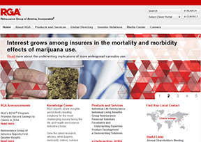 美国再险集团 官方网址 美国商业网站大全