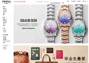 Fossil 官方网址 美国购物网站大全