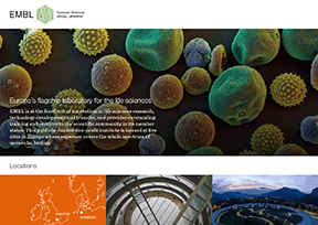 欧洲分子生物学实验室 官方网址 德国科学网站大全