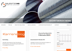 萨尔茨基特公司 官方网址 德国商业网站大全