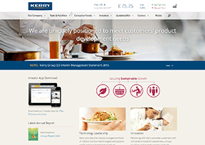 凯瑞集团 官方网址 爱尔兰商业网站大全