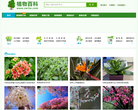 植物百科 官网地址 zw3w.com 餐饮美食类网站排行榜