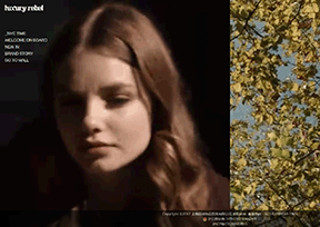 Luxury Rebel 官方网址 美国购物网站大全