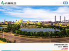 安徽六国化工 官网地址 www.liuguo.com 餐饮美食类网站排行榜
