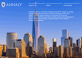 安奈利资产管理公司 官方网址 美国商业网站大全