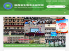 陕西省生物农业研究所 官网地址 swny.ac.cn 餐饮美食类网站排行榜