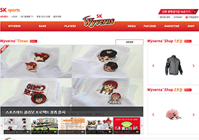 SK飞龙队 官方网址 韩国体育网站大全